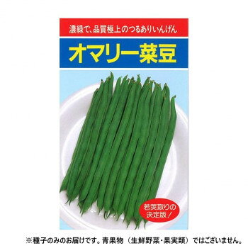 小林種苗 インゲン種子 オマリー 7 1dl【メーカー直送：代金引換不可：同梱不可】【北海道・沖縄・離島は配達不可】