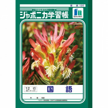 ショウワノート ジャポニカ学習帳 B5判 JL-11 国語 12行縦リーダー 001110 10冊セット【メーカー直送：代金引換不可：同梱不可】【北海道・沖縄・離島は配達不可】