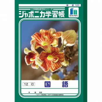 ショウワノート ジャポニカ学習帳 B5判 JL-11-1 国語 12行 001111 10冊セット【メーカー直送：代金引換不可：同梱不可】【北海道・沖縄・離島は配達不可】