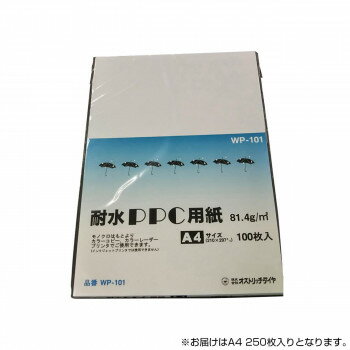 乐天商城 - オストリッチダイヤ 耐水性PPC用紙 A4 250枚パック WP-251【メーカー直送：代金引換不可：同梱不可】【北海道・沖縄・離島は配達不可】