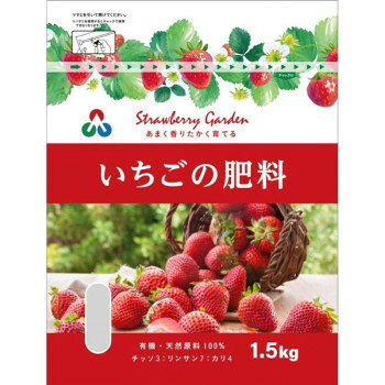 朝日アグリア いちごの肥料 1.5kg【メーカー直送：代金引換不可：同梱不可】【北海道・沖縄・離島は配達不可】