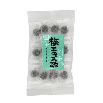 健康フーズ　梅エキス飴60g×10袋　国産梅肉エキス使用　1221【メーカー直送：代金...