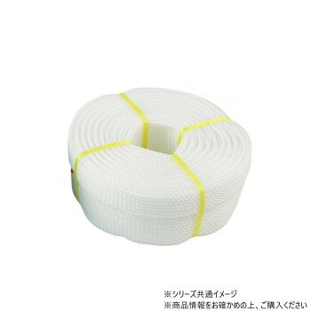 三和体育製販 グラウンドロープ6mm×200m ロープのみ 白 S-2876【メーカー直送：代...