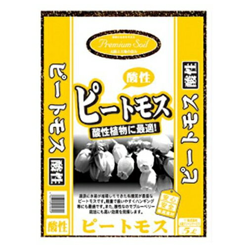 バンクシアとは 耐寒性や人気の種類をご紹介 剪定方法や時期など育て方のコツも 暮らし の
