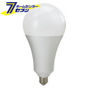 藤原産業 LED交換球 32W LDA32D-G-SK [電動工具 作業・警告・防犯灯 投光器・替え球]