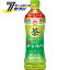 サントリー 伊右衛門 おいしい糖質対策 (機能性表示食品) PET 500ml 24本 【1ケース販売】 [トクホ お茶 糖質 ソフトドリンク suntory]