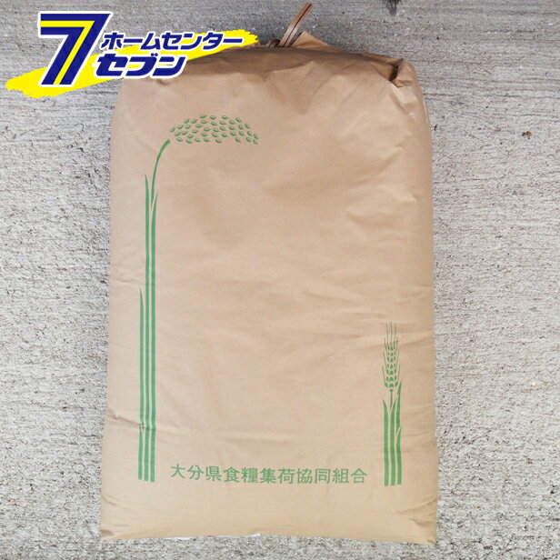 新米 ヒノヒカリ 玄米 30kg 令和元年産 [九州 大分県産 ひのひかり 30kg...