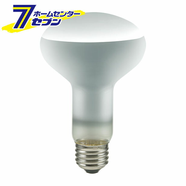 Ĺ̿ ե ERF110V100W-L ELPA [յ ŵ ե]