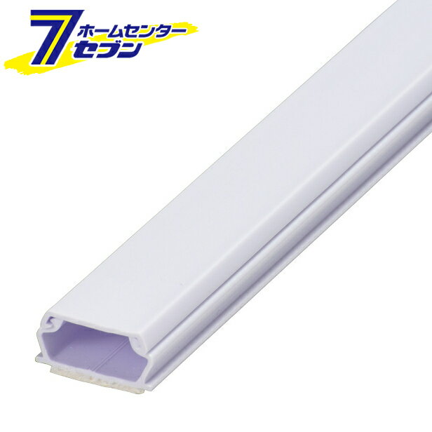 オーム電機 テープ付きABSモール 2号 1m ホワイト00-9514 DZ-AMT21-W[配線モール:テープ付きモール]