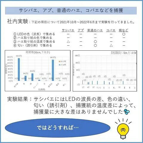 RECOTEK ハエトール 虫取り粘着シート10枚セット [捕獲 畜舎 サシバエ イエバエ 害虫捕獲粘着シート]