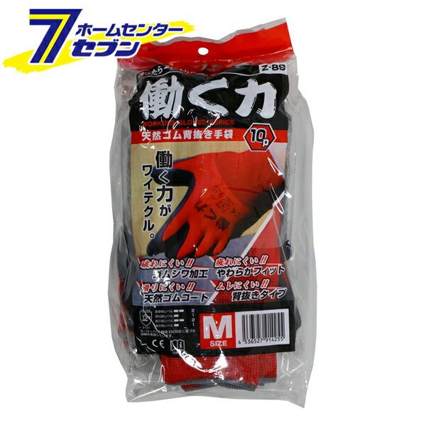 ȴ Ư ŷ 10 å M Z-89 [ȼ  ߤ եå ]