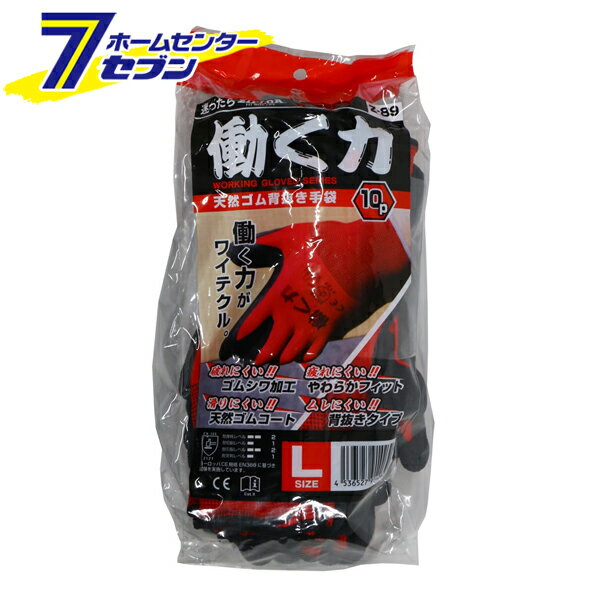 ȴ Ư ŷ 10 å L Z-89 [ȼ  ߤ եå ]