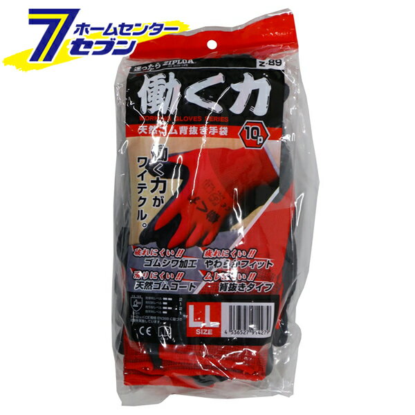 ȴ Ư ŷ 10 å LL Z-89 [ȼ  ߤ եå ]