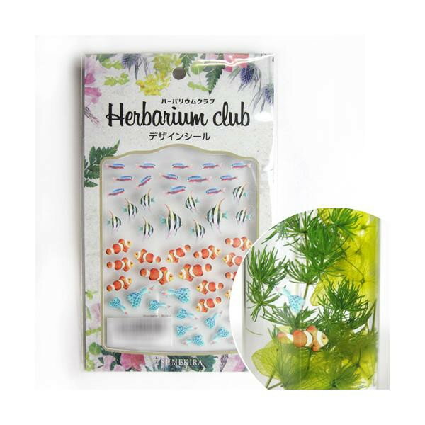 ハーバリウムクラブ　ハーバリウムシール　熱帯魚　(両面印刷)　HR-NTG-101のサムネイル