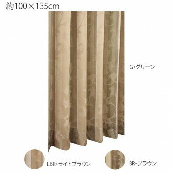 川島織物セルコン ロルカ 1.5倍形態安定プリーツ ドレープカーテン 1枚 100×135cm DF1162S　BR・ブラウン