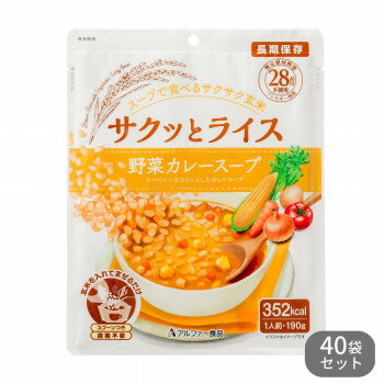 11421638 アルファー食品 サクッとライス 野菜カレースープ 190g ×40袋セット【メーカー直送：代金引換不可：同梱不可】【北海道・沖縄・離島は配達不可】