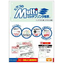 ヒサゴ マルチプリンタ帳票 A4 グリーン 3面 6穴 100枚 BP2044【メーカー直送:代金引換不可:同梱不可】【北海道・沖縄・離島は配達不可】