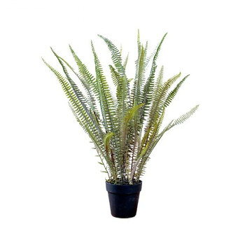 Leafy Plants - 80978 ボストンファーン【メーカー直送：代金引換不可：同梱不可】【北海道・沖縄・離島は配達不可】