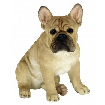 ※パッケージ、デザイン等は予告なく変更される場合があります。※画像はイメージです。商品タイトルと一致しない場合があります。本物そっくりな動物のオーナメントです。サイズW380×H390×D260mm個装サイズ：38.0×39.0×26.0c...