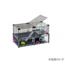 ferplast(ファープラスト) マルチ プラ ハムスター 57007217【メーカー直送:代金引換不可:同梱不可】【北海道・沖縄・離島は配達不可】