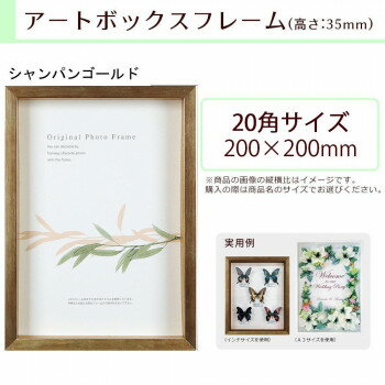 A.P.J. BOXフレーム アートボックスフレーム(高さ:35mm) 20角サイズ(200×200mm) シャンパンゴールド 0021768610【メーカー直送：代金引換不可：同梱不可】【北海道・沖縄・離島は配達不可】
