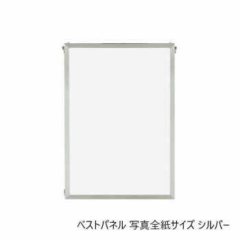 A.P.J. アルミフレーム・アルミパネル ベストパネル 写真全紙サイズ(430×540mm)　シルバー・0020190031【メーカー直送：代金引換不可：同梱不可】【北海道・沖縄・離島は配達不可】