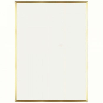 A.P.J. アルミフレーム・アルミパネル Eフレーム ポスターサイズ(500×700mm)　ゴールド・1000011851【メーカー直送：代金引換不可：同梱不可】【北海道・沖縄・離島は配達不可】