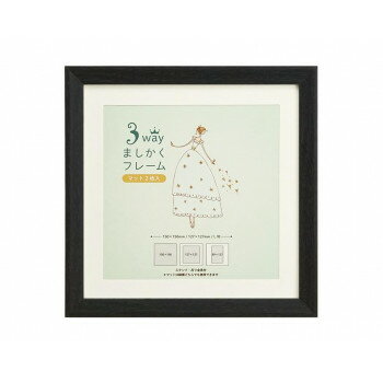 3WAYましかくフレーム 15角 ブラック 106-213【メーカー直送：代金引換不可：同梱不可】【北海道・沖縄・離島は配達不可】