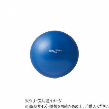DANNO ダンノ ソフトsmallウェイトボール2500 ブルー D5953【メーカー直送：代金引換不可：同梱不可】..