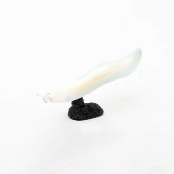 FP-208 ピカイア ミニモデル 77208【配送方法:メール便/同梱不可/代引不可/日時指定不可】【北海道・沖縄・離島は配達不可】