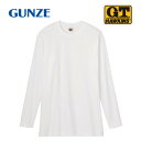 グンゼ Tシャツ G.T.HAWKINS クルーネック 長袖 2枚組 ホワイト M HK10082【メーカー直送:代金引換不可:同梱不可】【北海道・沖縄・離島は配達不可】(4)