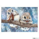 ビバリー 動物ジグソーパズル もぐもぐエゾモモンガ 300ピース 300-102【メーカー直送:代金引換不可:同梱不可】【北海道・沖縄・離島は配達不可】