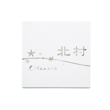 Doorplates - 福彫 表札 ステンレスエッチング PT-110【メーカー直送：代金引換不可：同梱不可】【北海道・沖縄・離島は配達不可】