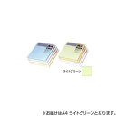 オストリッチダイヤ ニューファインカラーPPC用紙 A4 ライトグリーン 500枚入 FRG5-A4【メーカー直送:代金引換不可:同梱不可】【北海道・沖縄・離島は配達不可】(2)