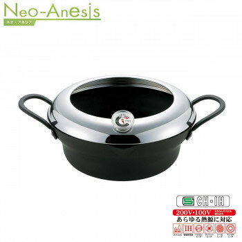 「ネオアネシス」温度計付天ぷら鍋24cm NA-TW24W【メーカー直送：代金引換不可：同梱不可】【北海道・沖縄・離島は配達不可】