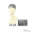 プリシラ 男性用5分ウィッグ レイヤーショート 耐熱 グレイヘア GB-22-TGH【メーカー直送:代金引換不可:同梱不可】【北海道・沖縄・離島は配達不可】