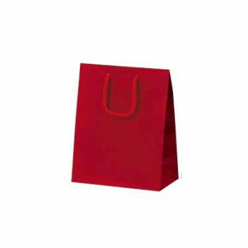 ミニバッグ手提袋 ワイン 1046 10枚【メーカー直送:代金引換不可:同梱不可】【北海道・沖縄・離島は配達不可】