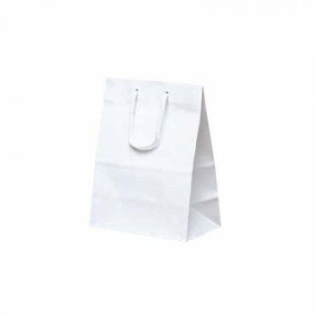 ミニバッグ手提袋 ホワイト 1520 10枚【メーカー直送:代金引換不可:同梱不可】【北海道・沖縄・離島は配達不可】