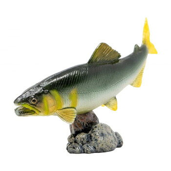 AF-206 アユ ミニモデル 74206【メーカー直送：代金引換不可：同梱不可】【北海道・沖縄・離島は配達不可】