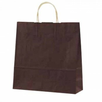 自動紐手提袋 T-6 カラー(カカオ) 1646 50枚【メーカー直送：代金引換不可：同梱不可】【北海道・沖縄・離島は配達不可】(3.0)