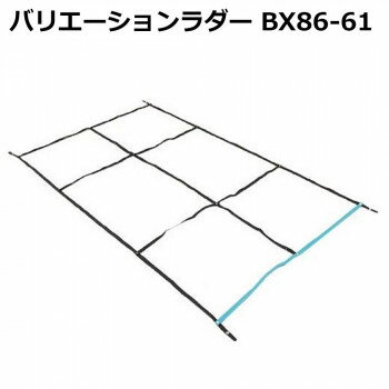 バリエーションラダー BX86-61【メーカー直送：代金引換不可：同梱不可】【北海道・沖縄・離島は配達不可】
