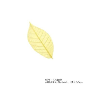※パッケージ、デザイン等は予告なく変更される場合があります。※画像はイメージです。商品タイトルと一致しない場合があります。お料理やデザートを華やかに演出します。※カラースカシ木の葉は、水分を含むと食品添加物着色料が溶出する場合がありますが、人体に影響はありません。サイズ約16cm個装サイズ：21×13×1.3cm重量個装重量：20g素材・材質ゴムの木の葉セット内容50枚入生産国本体:タイ/加工:日本広告文責:株式会社ホームセンターセブンTEL:0978-33-2811※パッケージ、デザイン等は予告なく変更される場合があります。※画像はイメージです。商品タイトルと一致しない場合があります。fk094igrjs