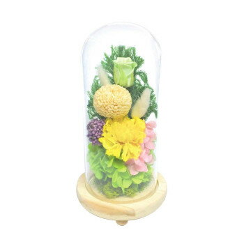 ���饹�ɡ��ॢ��󥸥��� ����(�Ϥ�����) C20030L�ڥ᡼����ľ�����������Բġ�Ʊ���Բġۡ��̳�ƻ�����졦Υ�����ã�Բġ�