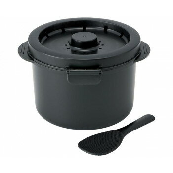 糖質カットご飯メーカー2合炊き UDG2N 499734 E1885【メーカー直送：代金引換不可：同梱不可】【北海道・沖縄・離島は配達不可】