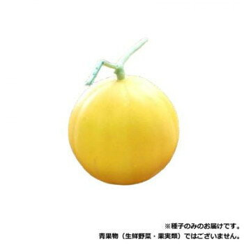小林種苗 メロン種子 �