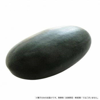 小林種苗 スイカ種子 黒い弾丸 4683 200粒【メーカー直送：代金引換不可：同梱不可】【北海道・沖縄・離島は配達不可】