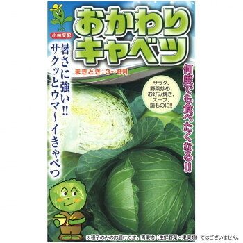 ※パッケージ、デザイン等は予告なく変更される場合があります。※画像はイメージです。商品タイトルと一致しない場合があります。生育旺盛で高温乾燥に強い、食味がとてもいい早生種です。軟腐病、萎黄病、黒腐病等の諸病害に強く、耐雨性も優れるため栽培が容易です。定植後60日1.2kg、70日で1.8kgになります。球芯は短く、在圃性も優れます。青果用はもちろん、加工・業務用にも最適です。葉は肉厚でやわらかく、甘くてジューシーな美味しいキャベツです。【栽培のポイント】・平均気温が10度以下になると結球が進まず、軟結球になる恐れがあるので、播き遅れに注意する。※「おかわり」は耐暑性に優れた品種ですが、高温期の過乾燥が続くとチップバーン(カルシウム欠乏症)が発生する場合があります。【注意事項】※種子は播種後の栽培条件、天候事情により、その結果が異なる場合がございます。万が一、結果不良でも保証はできかねます。※一部地域(郡部・山間部等)は時間帯指定不可となります。サイズ個装サイズ：15×10×1cm重量個装重量：30g仕様内容量:小袋(1ml)生産国イタリア広告文責:株式会社ホームセンターセブンTEL:0978-33-2811※パッケージ、デザイン等は予告なく変更される場合があります。※画像はイメージです。商品タイトルと一致しない場合があります。fk094igrjs