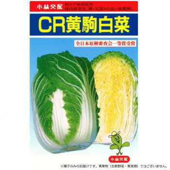 小林種苗 ハクサイ種子 CR黄駒 5 20ml【メーカー直送：代金引換不可：同梱不可】【北海道・沖縄・離島は配達不可】