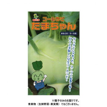 小林種苗 コールラビ種子 たまちゃん　5423　1000粒【メーカー直送：代金引換不可：同梱不可】【北海道・沖縄・離島は配達不可】