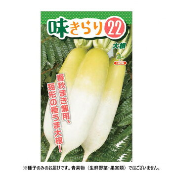 小林種苗 ダイコン種子 味きらり22 6046 小袋(3ml)【メーカー直送：代金引換不可：同梱不可】【北海道・沖縄・離島は配達不可】